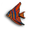 Angel Fish - Orange