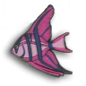 Angel Fish - Pink