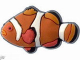 Clownfish - Orange